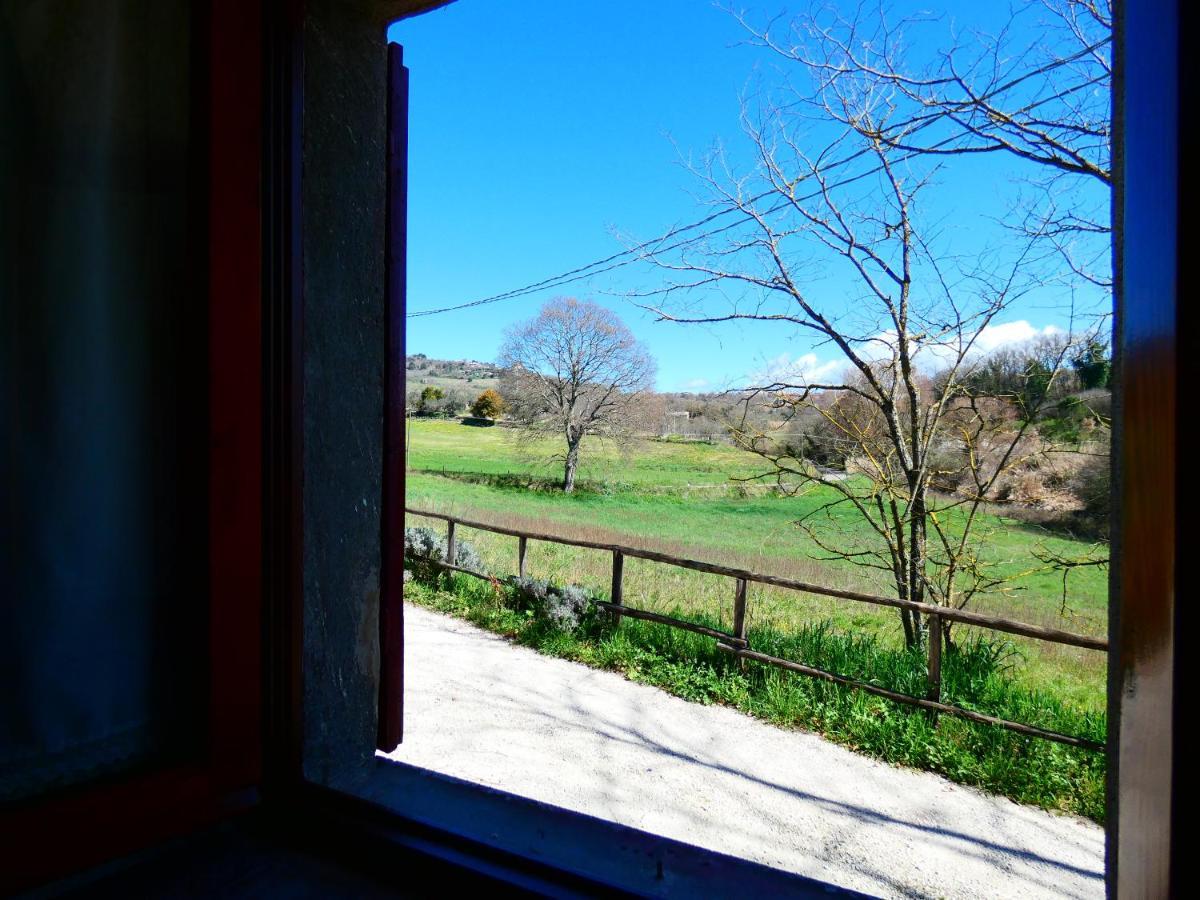La Baronessa *
