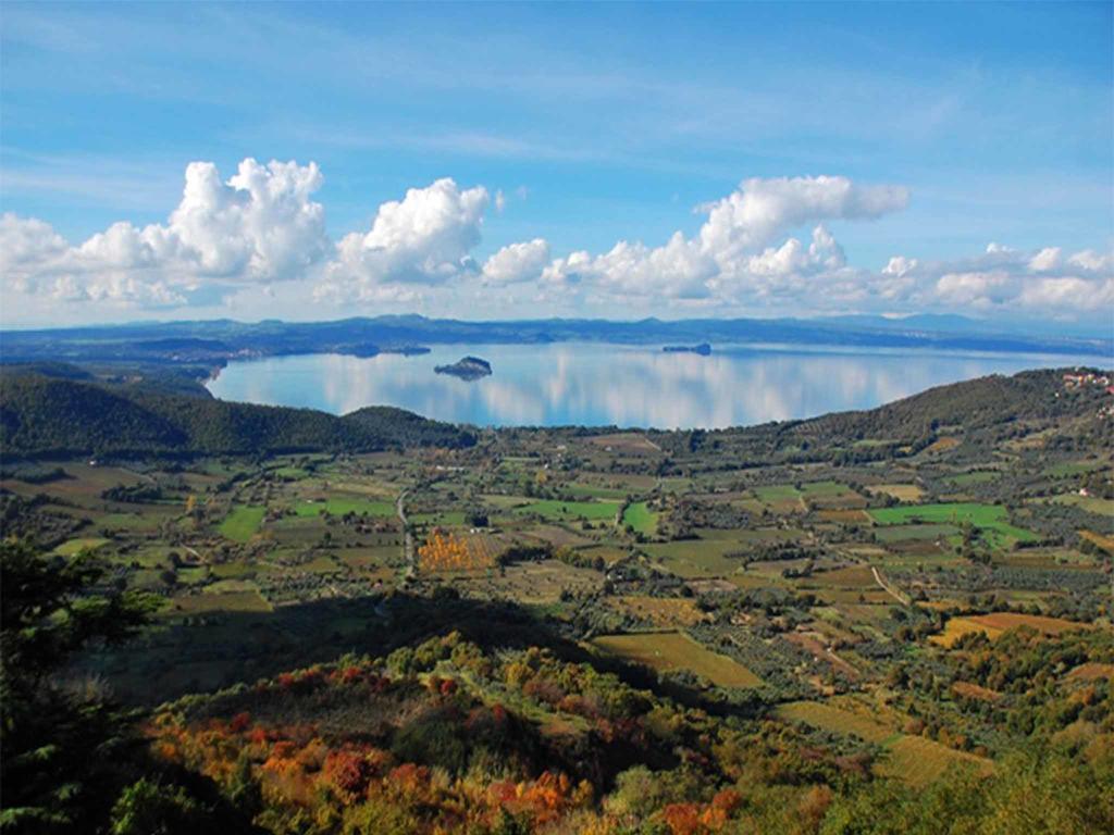 La Baronessa Montefiascone