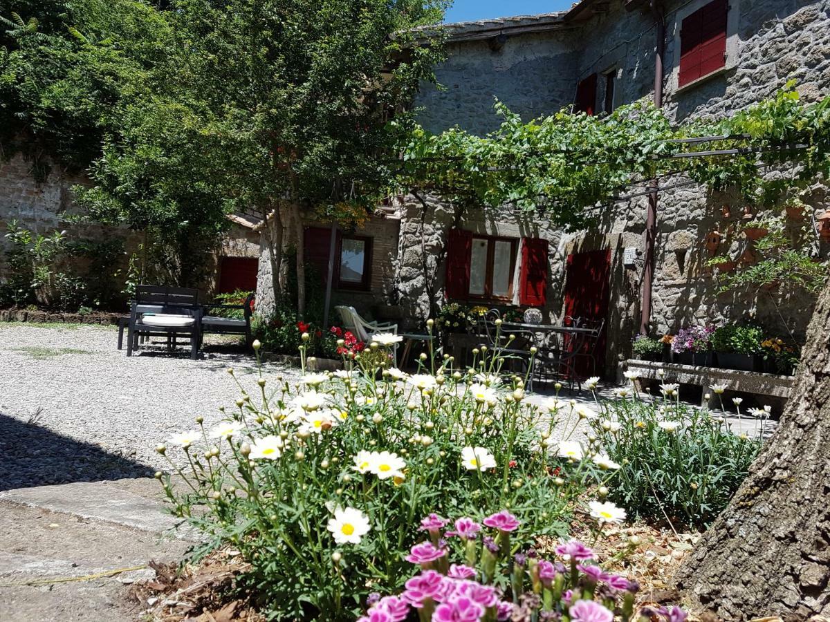 Apartment La Baronessa