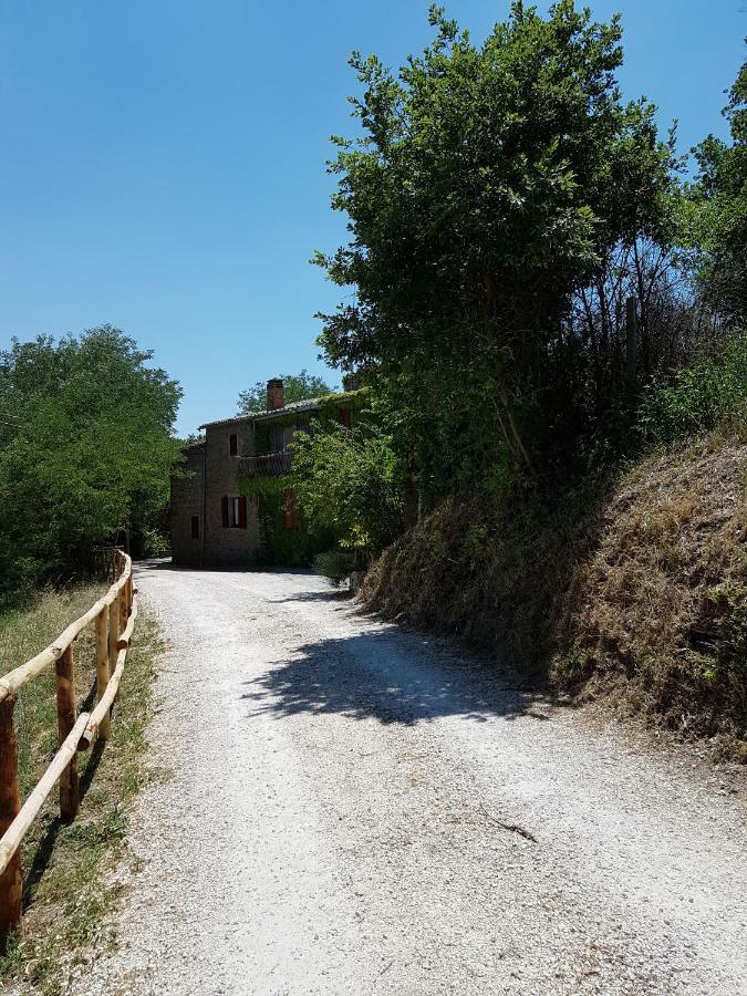 La Baronessa *