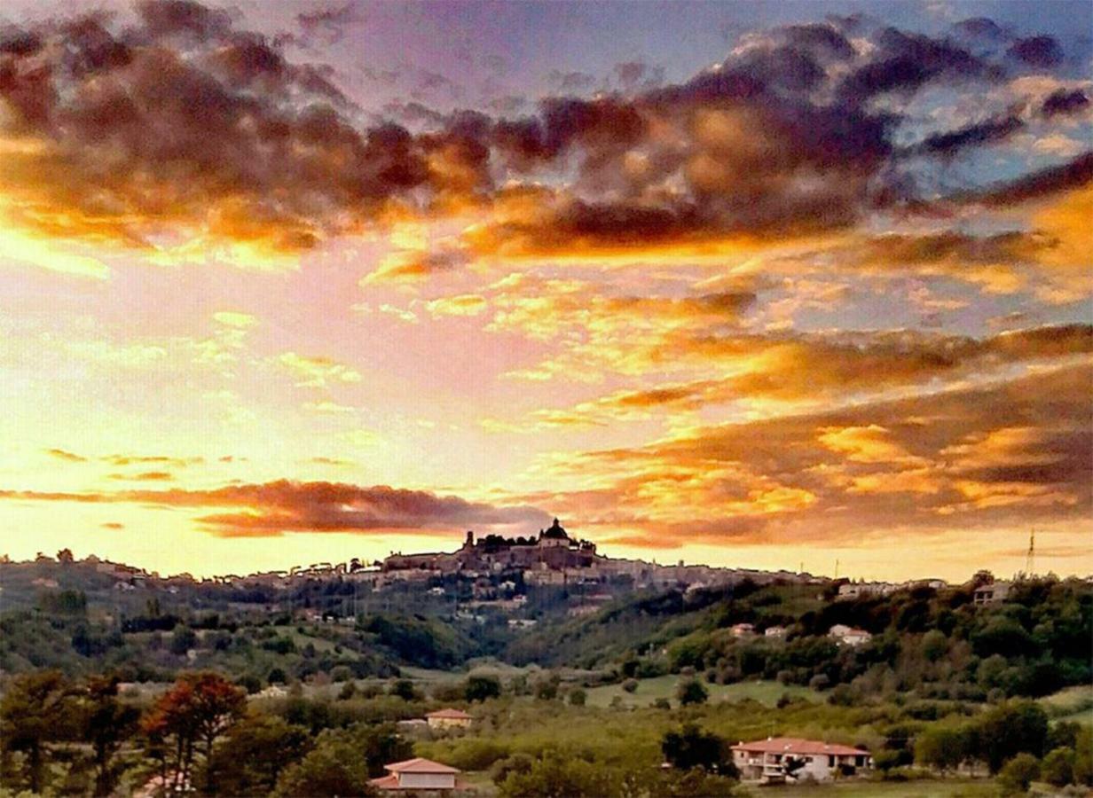 La Baronessa